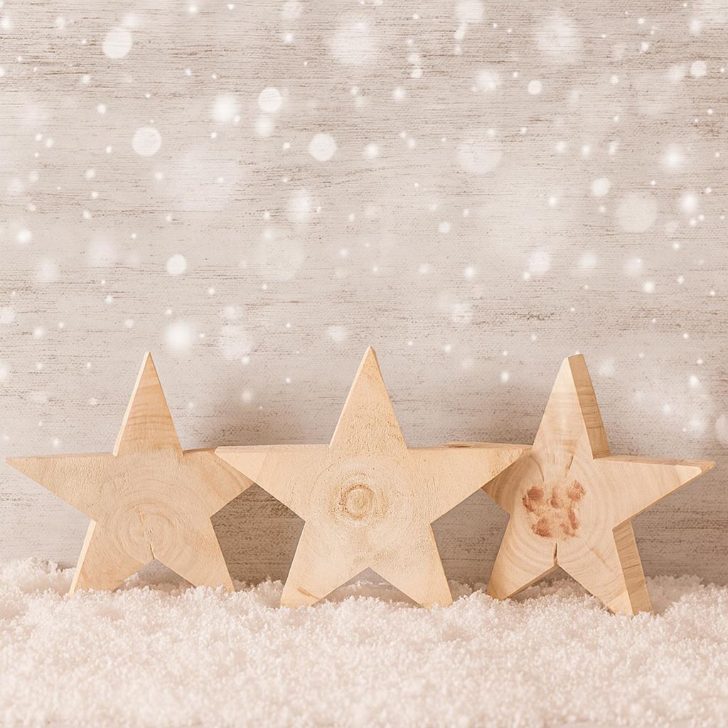 WH Holz Stern ca. 30x30x3 cm | Dekorativer Stern aus hochwertigem Holz für Wand, Tisch oder Fensterbank | Naturmaterial für festliche und dauerha...