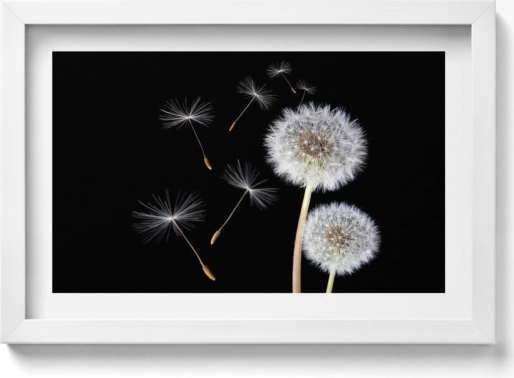 Zwei Hüpfburgen– Wandbild mit Rahmen – Gerahmtes Bild – Wanddekoration – 30x20 cm – Weiß Rahmen
