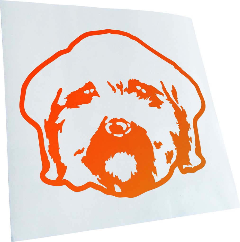 Kiwistar - Autoaufkleber - Maltipoo Hund - Neonorange - 30x25cm - Aufkleber für Auto, Laptop, Fahrrad, LKW, Motorrad mehrfarbig JDM Decal Racing