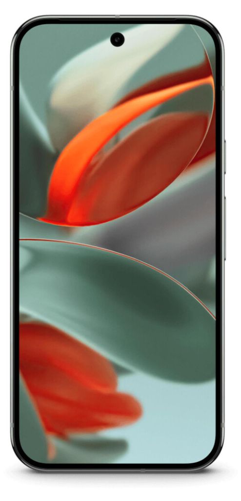 Google Pixel 9 Pro 256 GB Dual-Sim Immagine del prodotto 