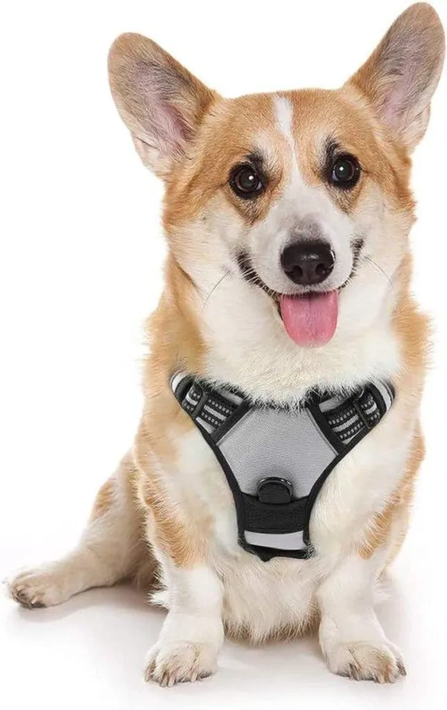 Harnais chien anti-traction en maille souple et respirante réglable noir