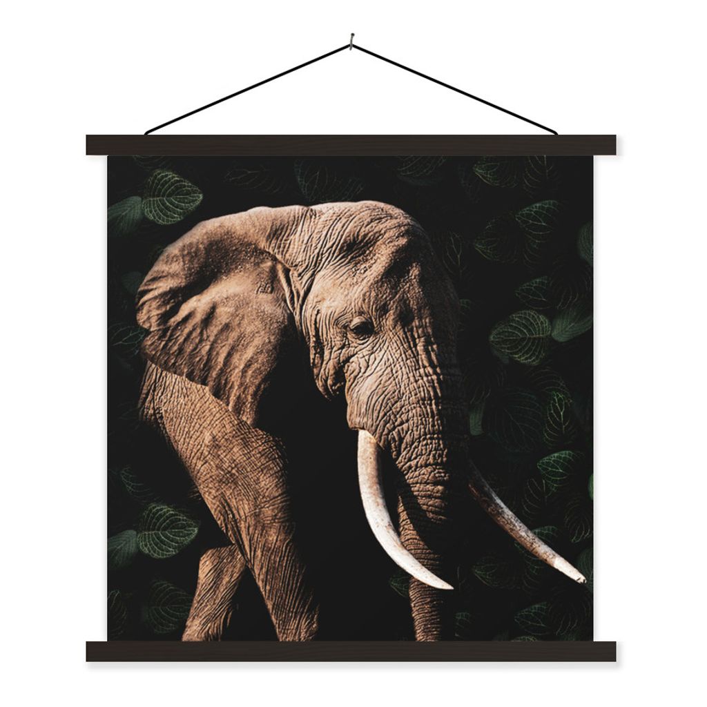 MuchoWow Textilposter Elefant - Tiere - Zähne 90x90 cm mit schwarzem Rahmen - Magnetisches