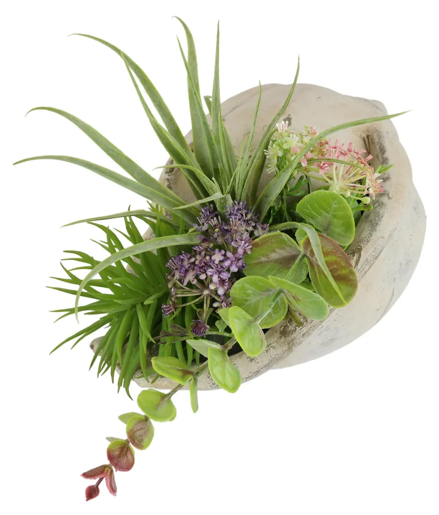 Décoration de Table : Composition de Plantes Succulentes de Luxe