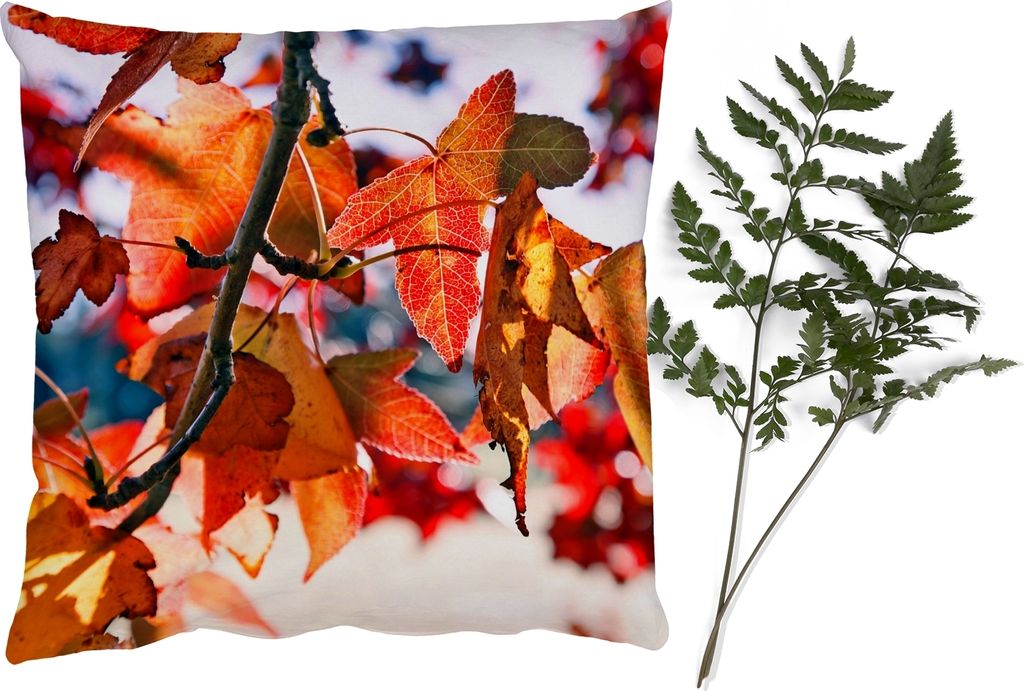 MuchoWow Zierkissen Sofakissen Wohnzimmer Dekokissen 40x40 cm Ahorn - Blätter - Rustikal - Herbst - Foto Kissen - Schlafzimmer Dekoration