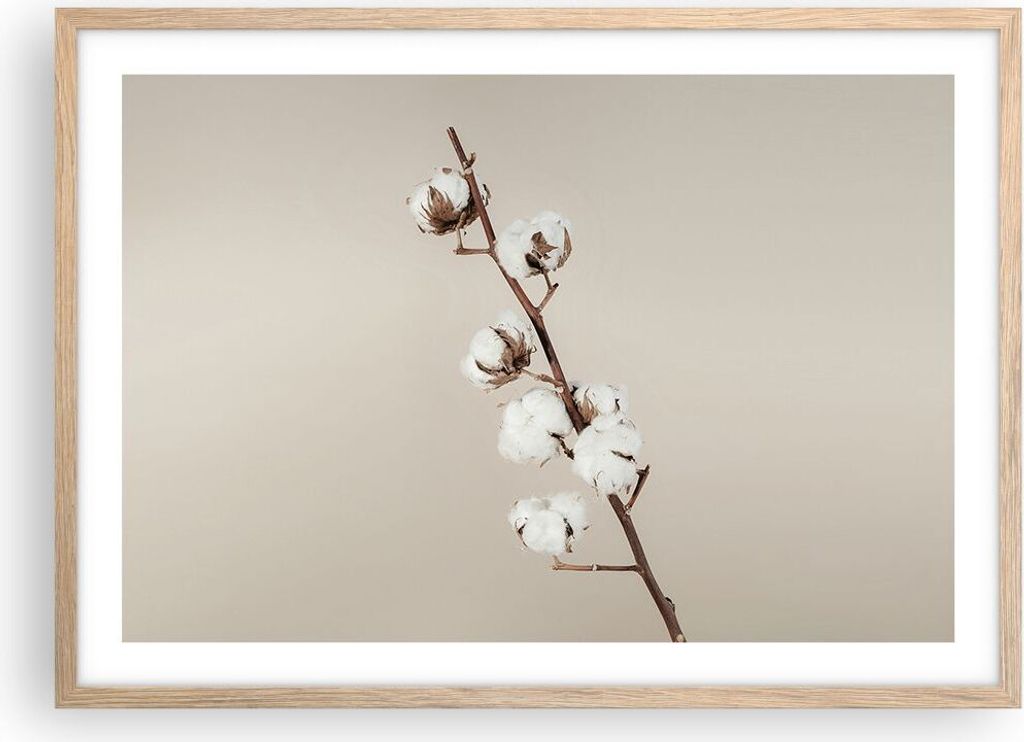 Gerahmtes Poster - Rahmen in heller Eiche - Baumwolle Zweig Boho - 70x50 cm - Wand Bild - Wanddeko - Wandbilder - Kunstposter - Wandposter - Bilder...