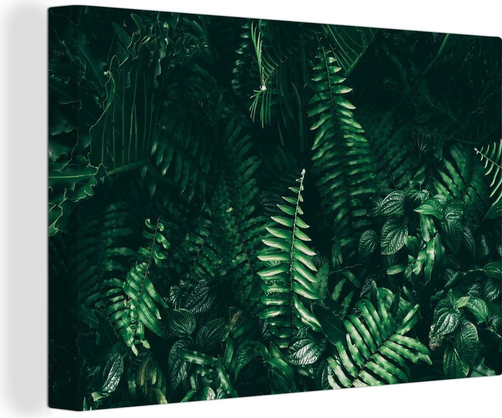 OneMillionCanvasses - Leinwandbilder - 150x100 cm, Blätter - Dschungel - Natur - Tropisch - Pflanzen, Wandbilder Kunstdruck Wanddekoration - Fot...