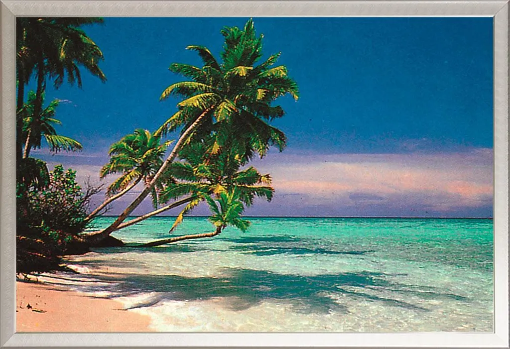 Poster Spiaggia Tropicale con Cornice Alluminio Shinsuke Maxi Argento