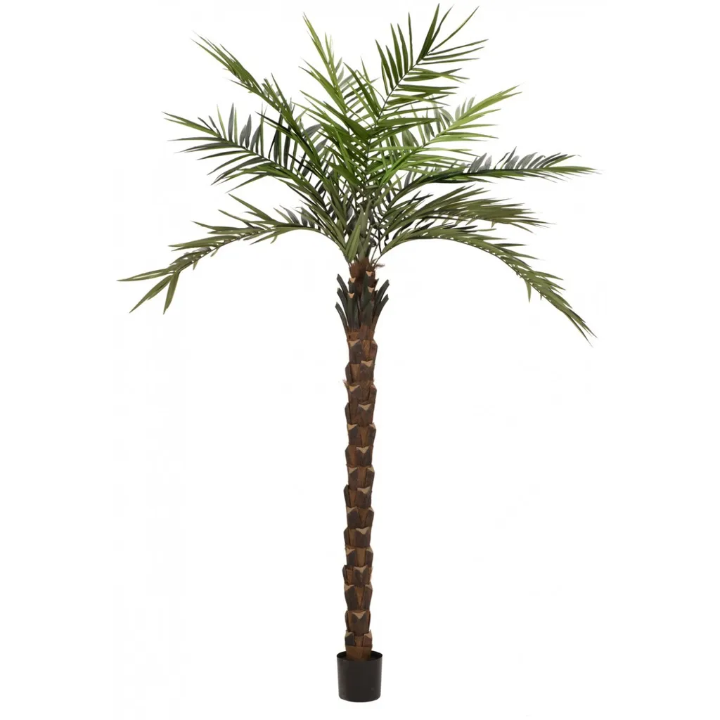 Plante artificielle Palmier Kentia 300cm - Finition deluxe réaliste