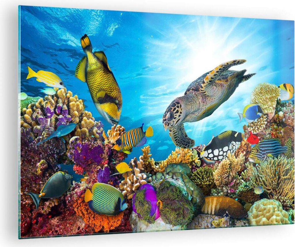 Bilder auf glas - Riff Koralle Fisch - 70x50cm - Glasbilder - Wandbilder - Kunstdruck - zum Aufhängen bereit - Wanddekoration aus Glas - Glas Bild...