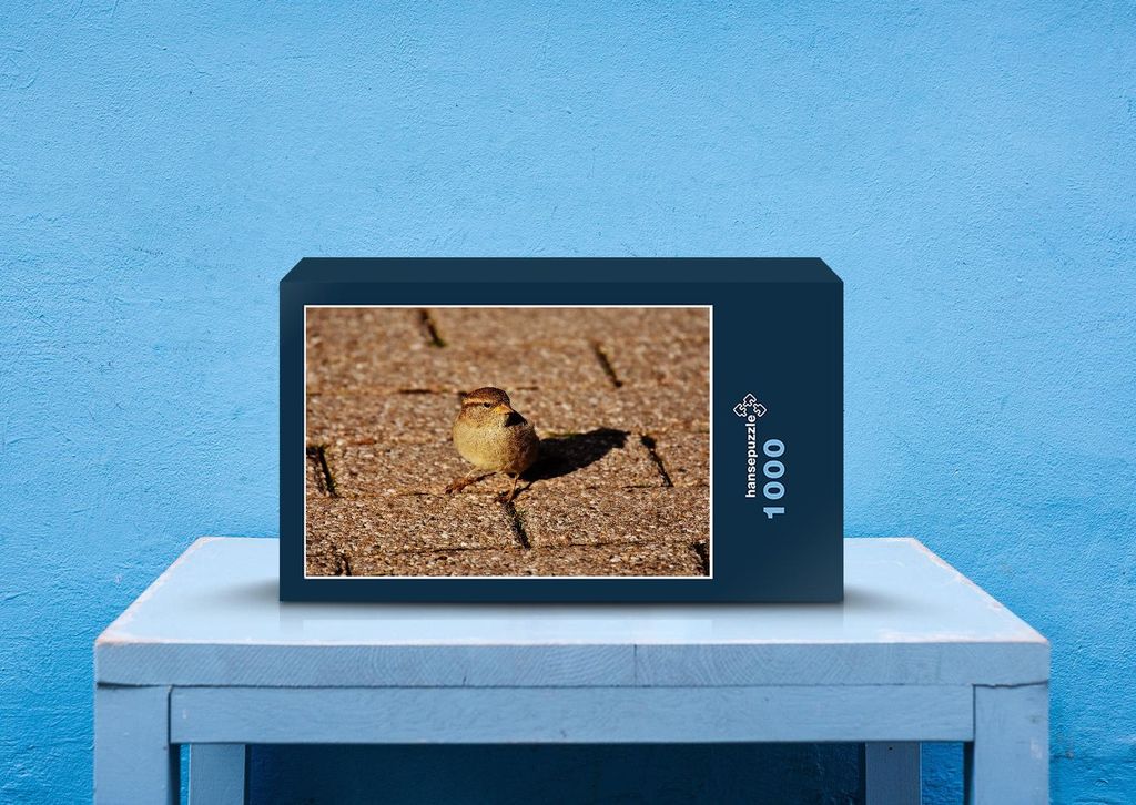 hansepuzzle 36262 - Spatz Puzzle, 1000 Teile, Tierwelt, 60,0 x 46,0cm mit hochwertiger Aufbewahrung, Kartonbox und wiederverschließbarem Beutel