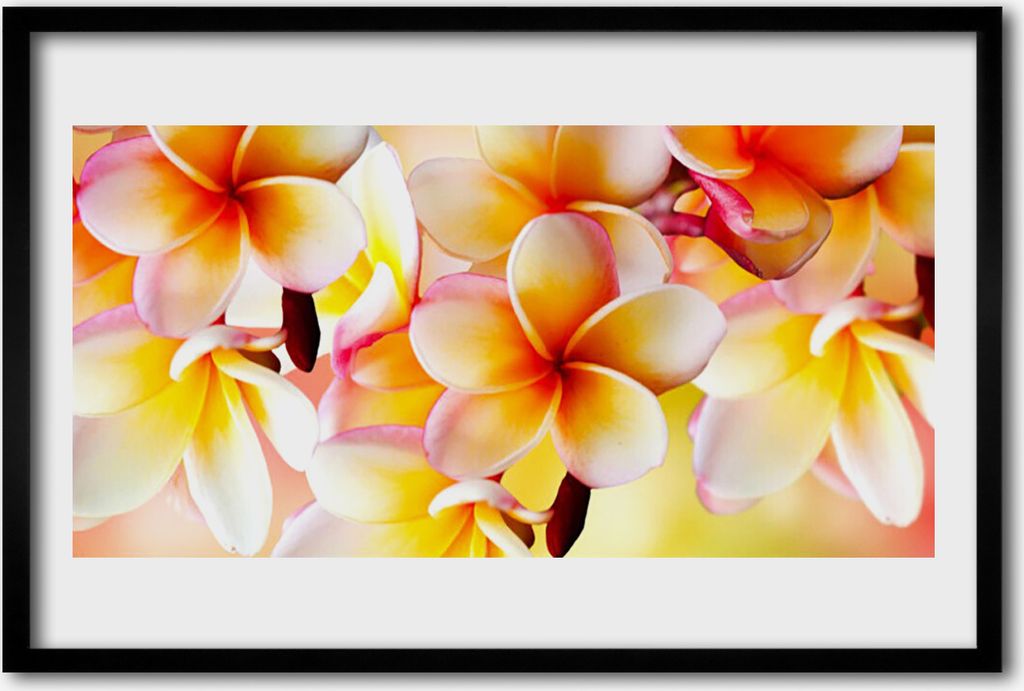 Bild 60x40 MDF-Rahmen Wandkunst Blumen Pflanzen Natur Produktbild 