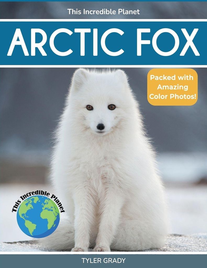 Arctic Fox