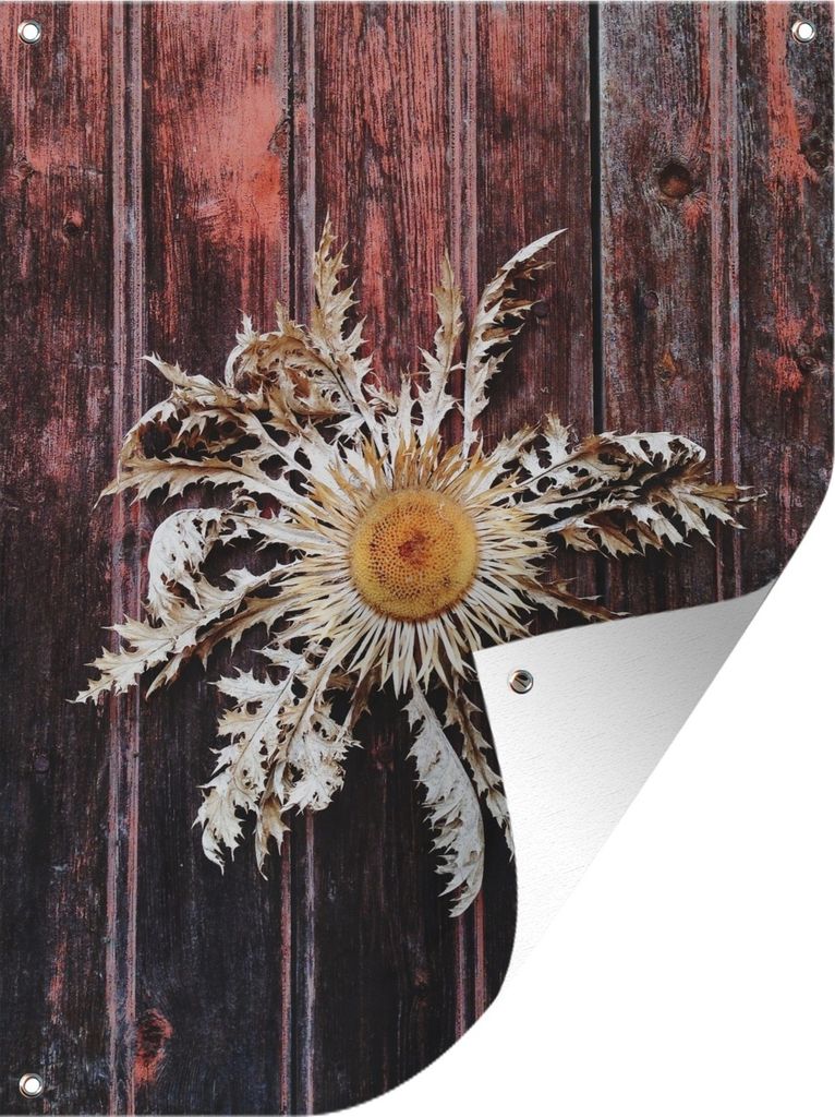 MuchoWow 60x80 cm Outdoor-Poster Gartendeko Sichtschutz Garten Poster für den Garten Silberdistel auf eine Holztür gemalt