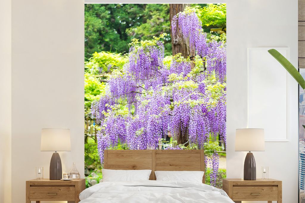 MuchoWow Fototapete für Wohnzimmer oder Schlafzimmer Wandtapete Vinyl Motivtapete Lila Glyzinie auf grünem Hintergrund - 195x300 cm - Das Hinte...