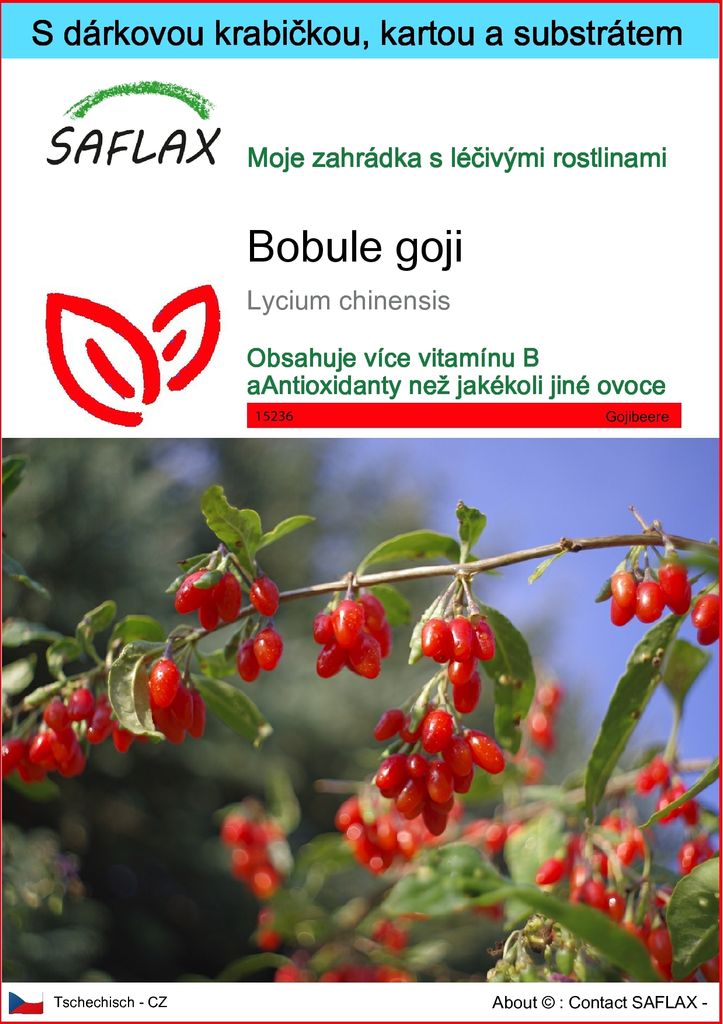 SAFLAX Dárková sada - bobule goji - Lycium chinensis - 200 Obrázek produktu 