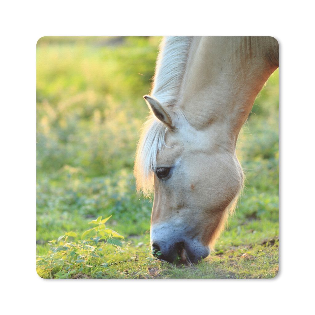MuchoWow Mauspad Mousepad Weidendes Fjordpferd an einem Sommertag 20x20 cm - Mousepads - Maus Mat - Pad - Mausunterlage - Desk Mat - Bureauartikeln