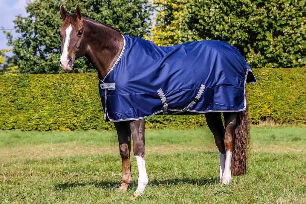 Bucas Freedom Turnout Light High Neck Regendecke