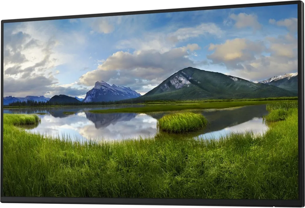 Écran Dell P2425H 24 pouces IPS Full HD HDMI DP USB-C sans support
