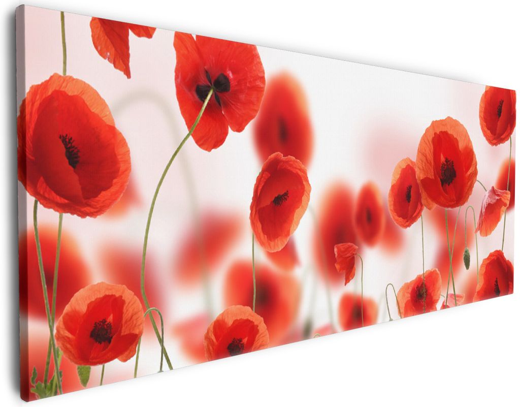 Wallario Premium Leinwandbild Leuchtende Mohnblumen - Rote Mohnblumenblüten in Größe 80 x 200 cm