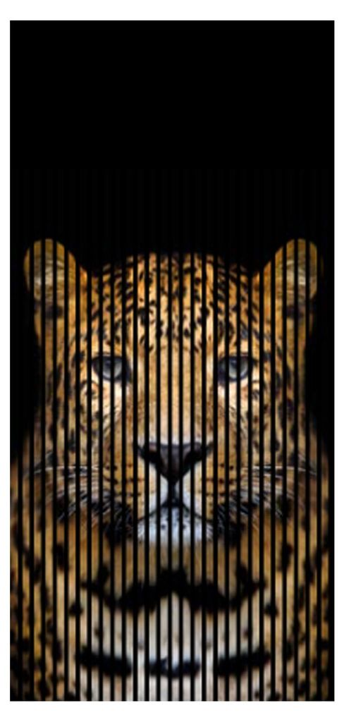 Akustikpaneele mit Digitaldruck Leo01 19 x 1133 x 2400 mm Leopard MDF PET-Fasern Wandpaneele Schwarz Braun 2 Einzelplatten