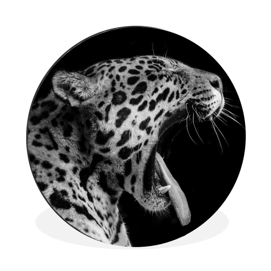 MuchoWow Aluminium Wandkreis Jaguar - Tier - Schwarz - Weiß Ø 30 cm Wanddeko Modern Wohnzimmer - Wand Bild - Wohnzimmer - Runde Bilder - Alubil...
