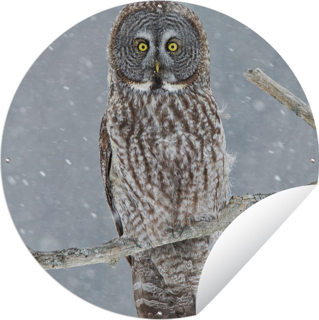 MuchoWow Gartenposter Outdoor-Poster Rund Eule im Schnee Ø 90 cm Gartendeko Rundes Poster draußen