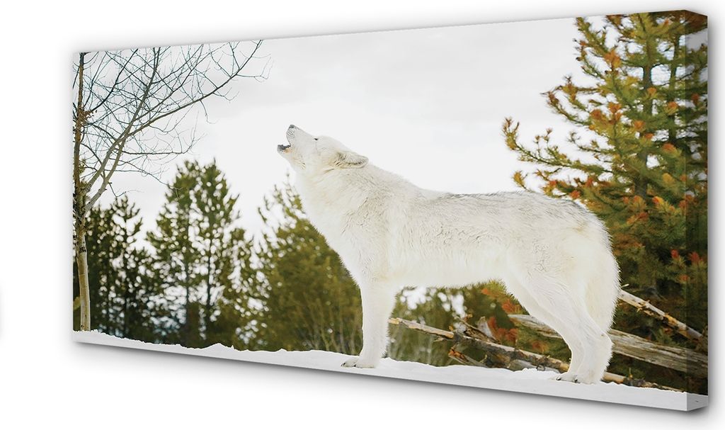 Leinwandbild 120x60 Wandkunst Wolf Winterwald