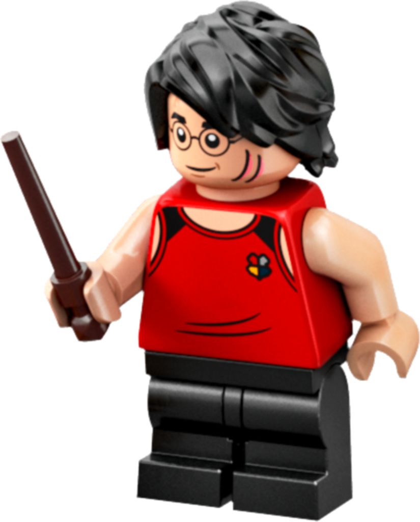 LEGO: Harry Potter im Outfit "Trimagisches Turnier"