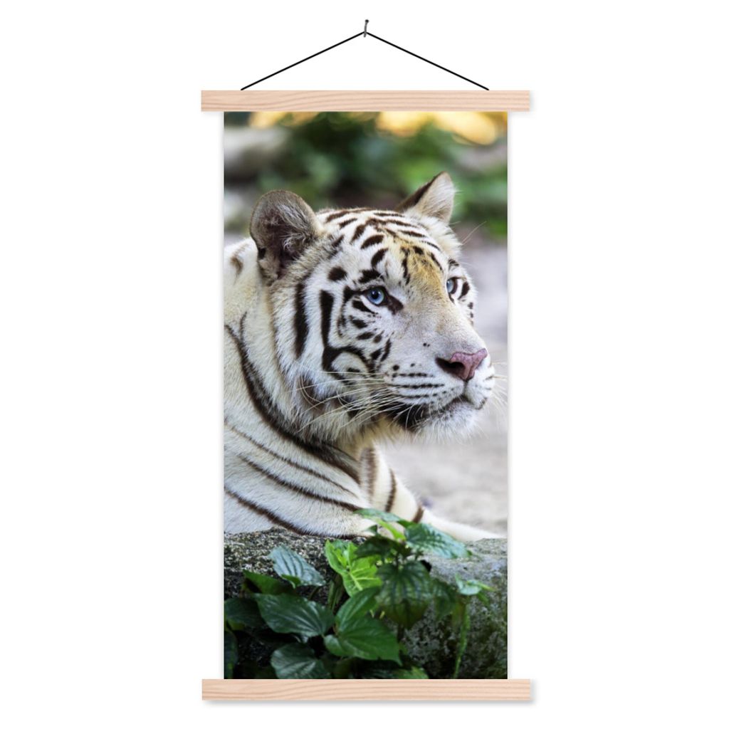 MuchoWow Textilposter Tiger - Weiß - Sand 60x120 cm mit holzfarbenen Rahmen - Holz