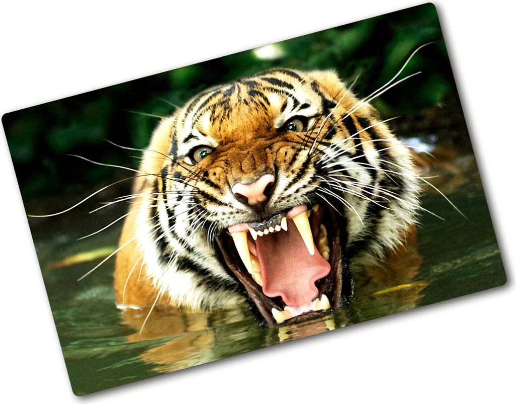 Tulup Glas Herdabdeckplatte - 80x52 cm - Glaskeramikkochfeld-Abdeckung Spritzschutz Glasabdeckplatte - Einteilig - Tiere - Brüllender Tiger - Orange