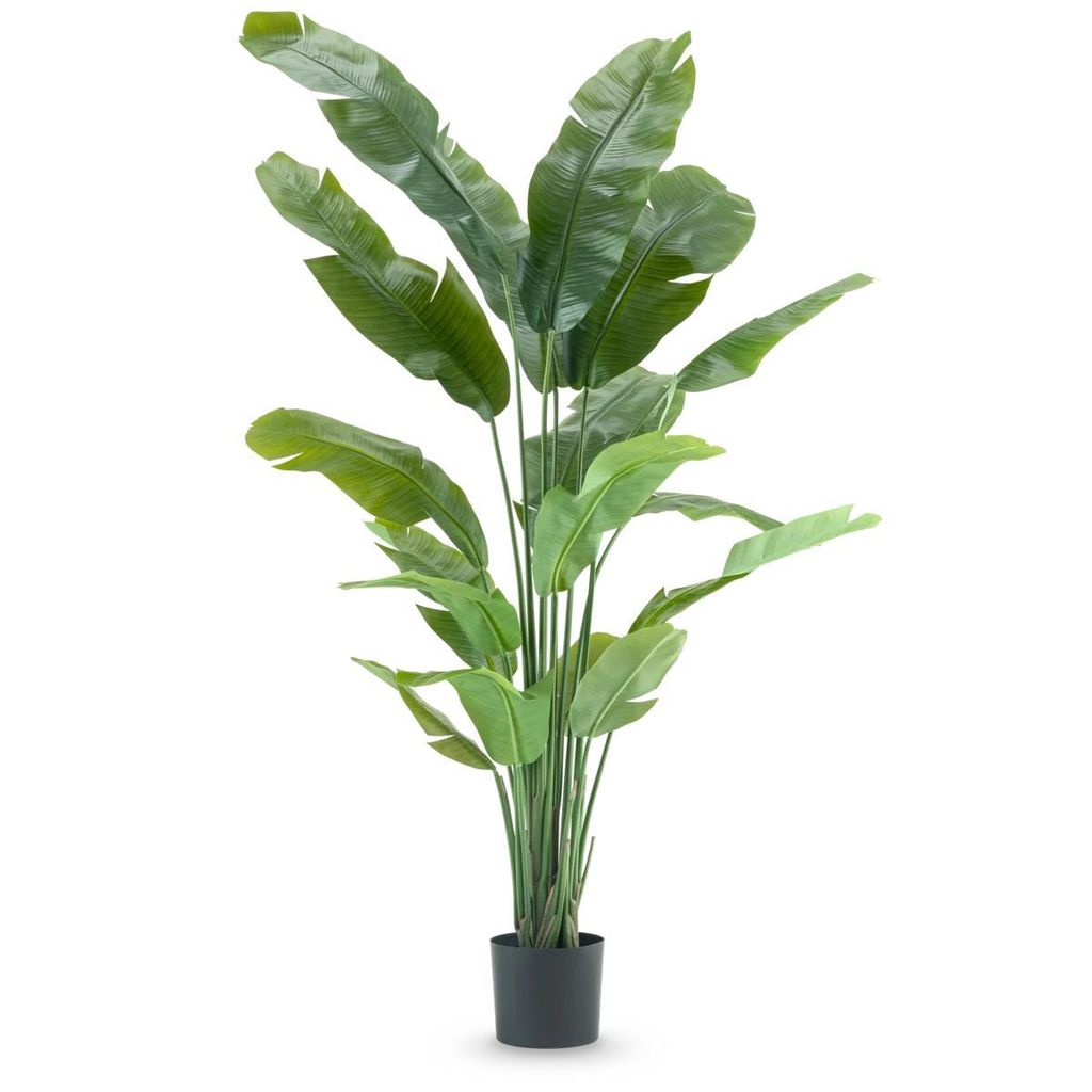 Kunstpflanze Strelitzia Nicolai Deluxe 195 cm