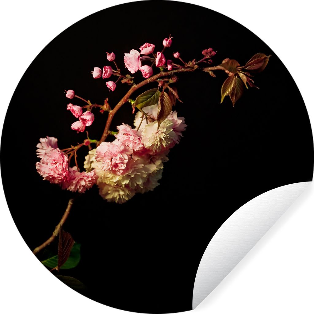 MuchoWow Runde Wandtattoo - Wandsticker Tapete Aufkleber Eine Kirschblüte vor schwarzem Hintergrund Ø 100 cm Selbstklebend und Repositionierbar...