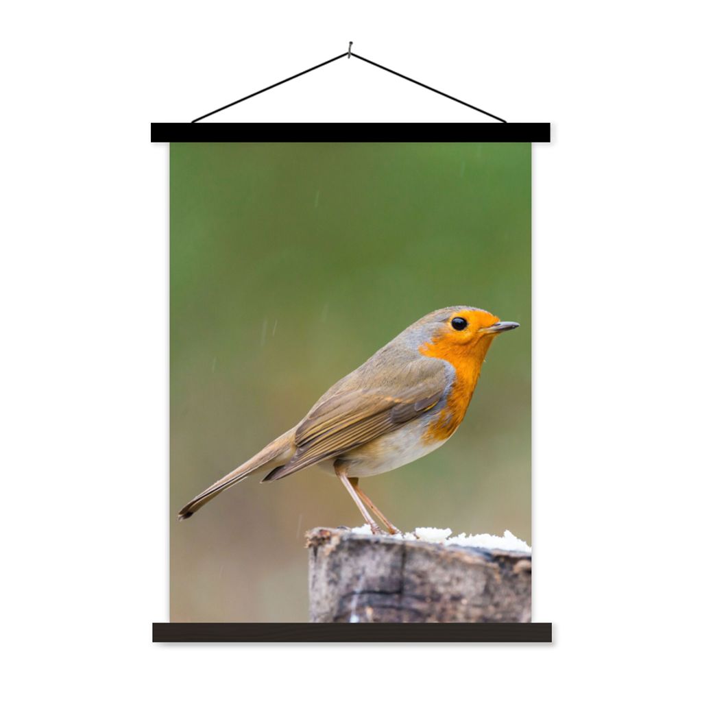MuchoWow Textilposter Tiere - Vogel - Rotkehlchen 120x160 cm mit schwarzem Rahmen - Magnetischer