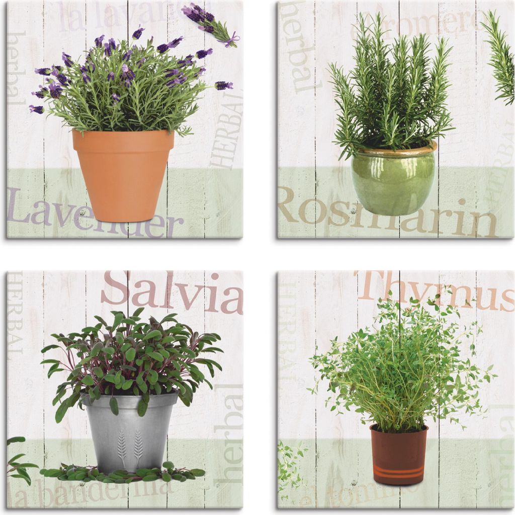 ARTland Leinwandbilder Set, 4tlg. Lavendel, Rosmarin, Produktbild 