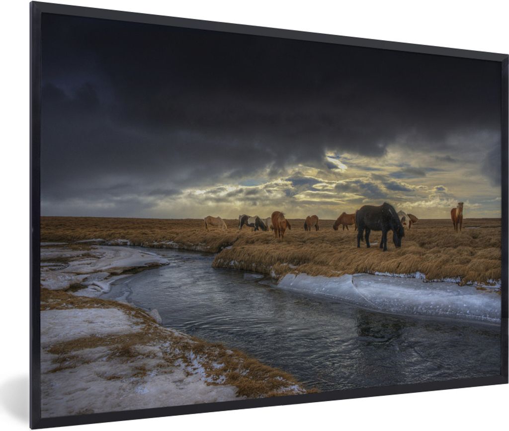 MuchoWow Gerahmtes Poster Pferde - Eis - Gras 30x20 cm - Poster mit Schwarzem Bilderrahmen Wandposter Rahmen Foto Bilder - Kunstdruck - Bild-Poster