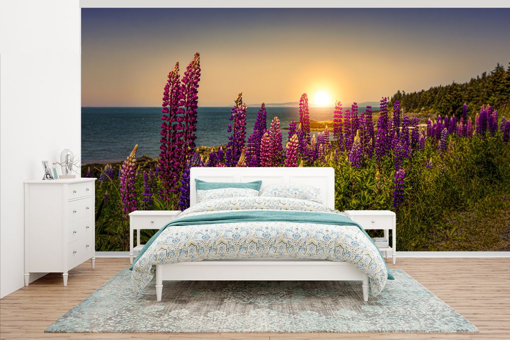 MuchoWow Fototapete für Wohnzimmer oder Schlafzimmer Wandtapete Vinyl Motivtapete Sonnenaufgang an der Küste von Nova Scotia - 465x260 cm - Hin...