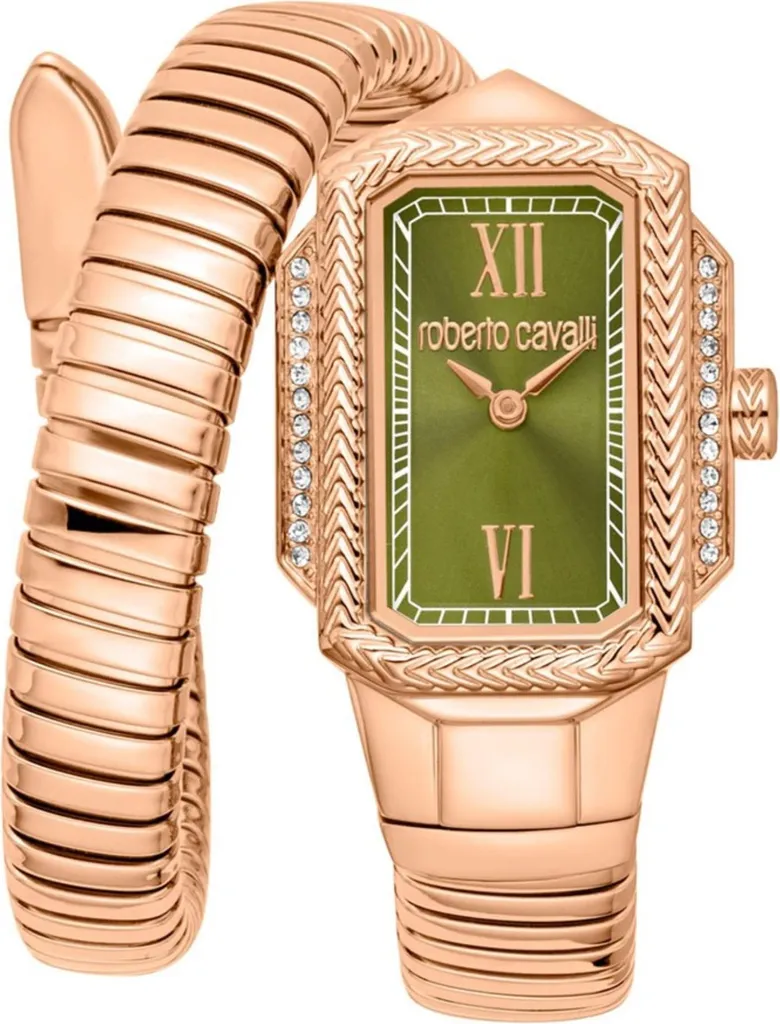 Montre Roberto Cavalli RC5L115M0055 acier inoxydable et verre minéral