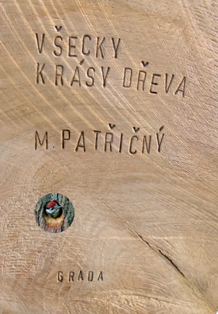 Livre d'art Všecky krásy dřeva : album illustré sur le bois et design