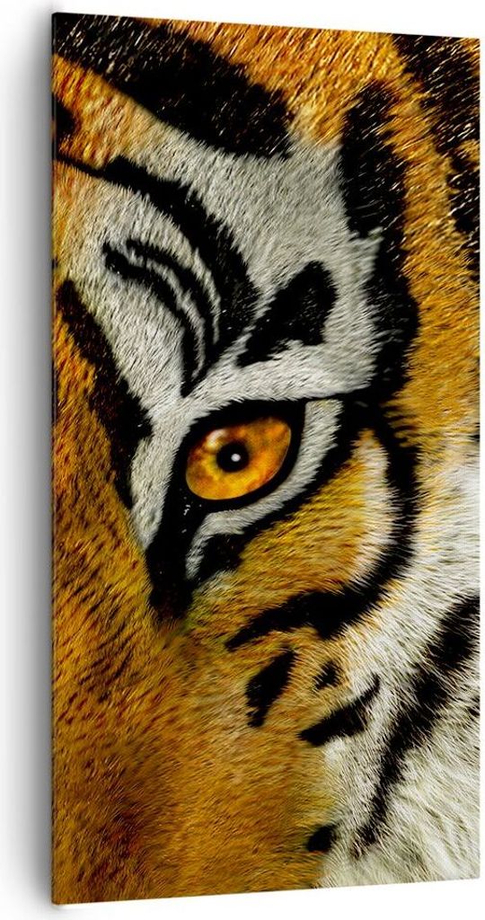 Bild auf Leinwand - Leinwandbild - Tiger Tiere Natur Safari - 65x120cm - Wand Bild - Wanddeko - Leinwanddruck - Bilder - Kunstdruck - Wanddekoratio...