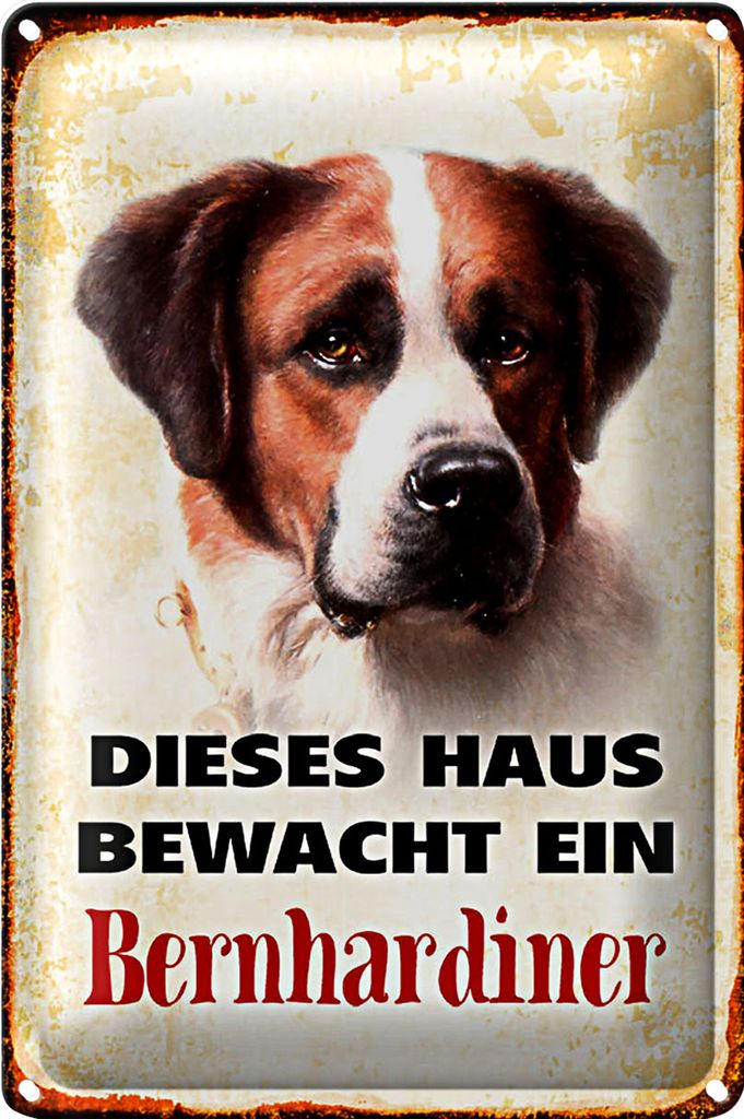 Blechschild Hund 40x30cm dieses Haus bewacht Bernhardiner