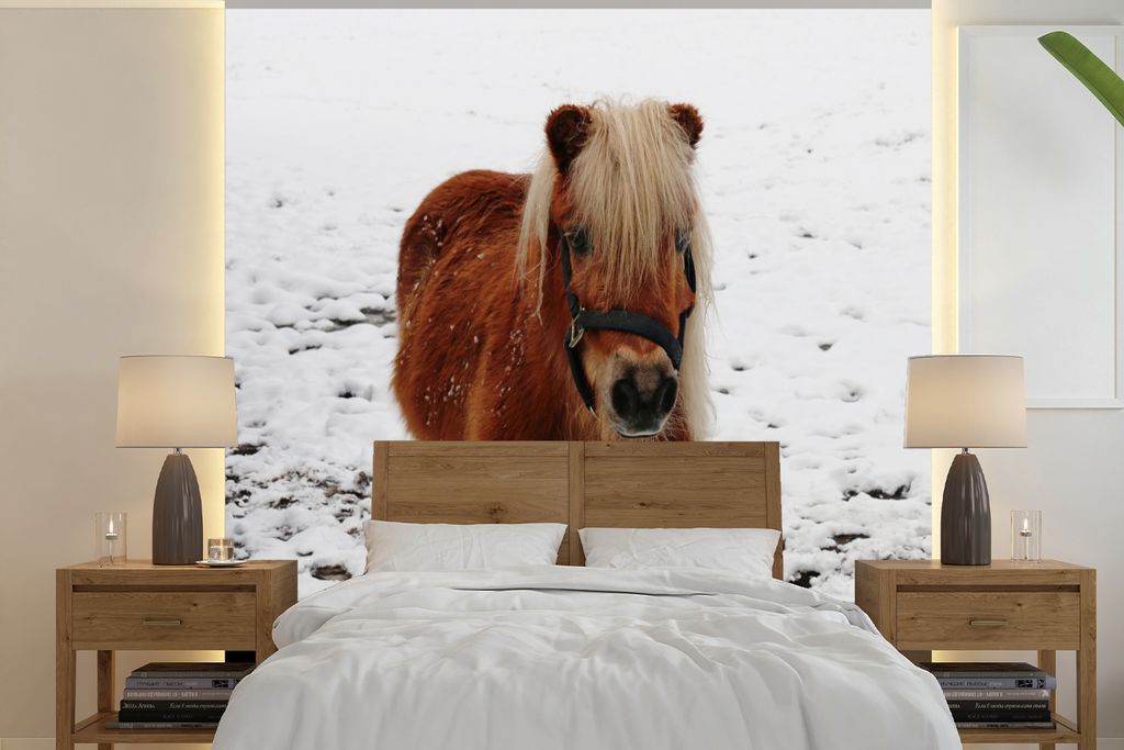MuchoWow Fototapete für Wohnzimmer oder Schlafzimmer Wandtapete Vinyl Motivtapete Pony in der Kälte - 300x300 cm - Wanddekoration