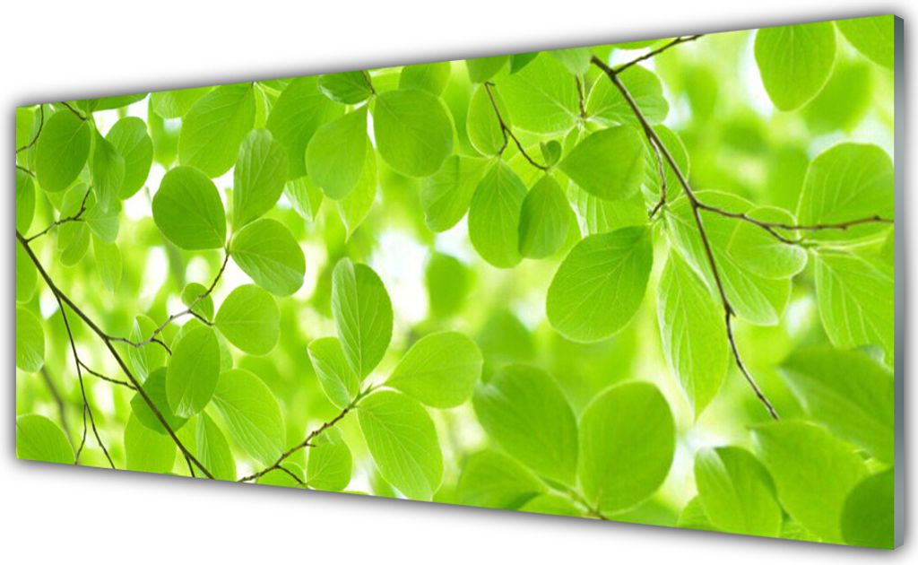 Acrylglasbilder 125x50 Wandbild Druck Blätter Natur