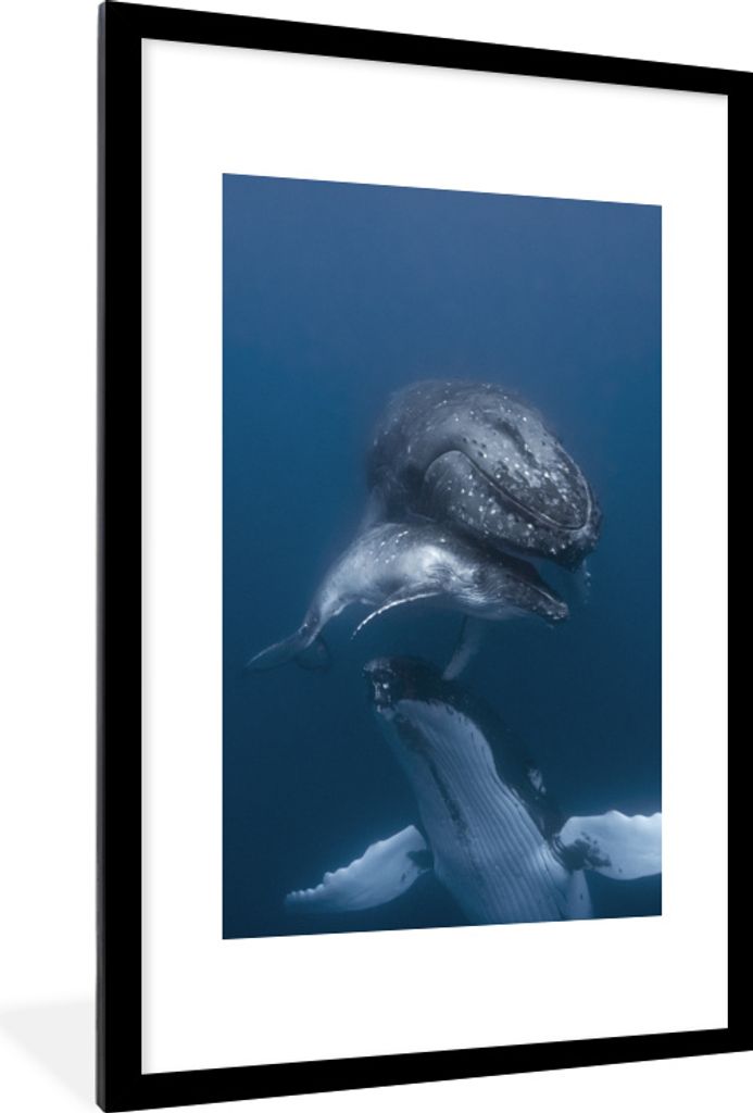 MuchoWow MuchoWow Gerahmtes Poster Wale - Meer - Familie 60x90 cm - Poster mit zchwarzem Bilderrahmen - Dekoration - Wandposter Wohnzimmer - Ho...