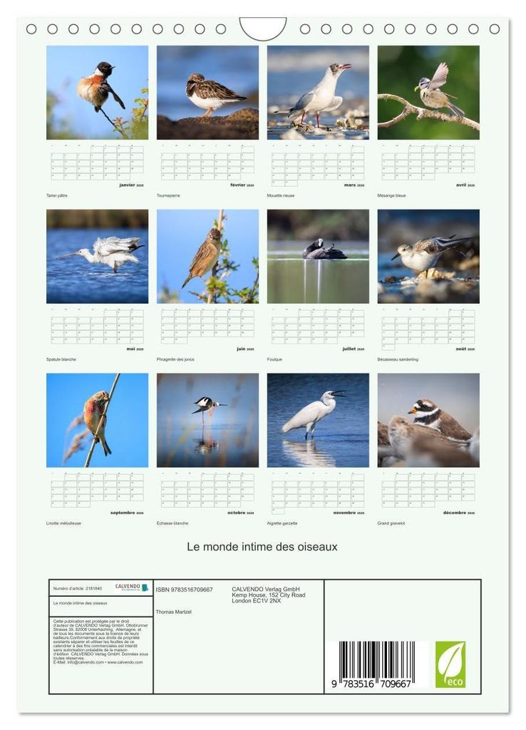 Le monde intime des oiseaux (Calendrier mural 2026 DIN A4 vertical), CALVENDO calendrier mensuel: Un calendrier élégant qui vous ouvre les portes...