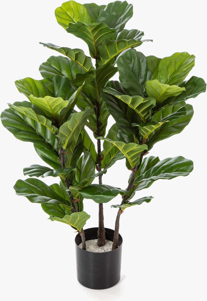 artplants.de Künstlicher Ficus Lyrata GUDJA, Kunststämme, grün, 90cm - Kunstficus