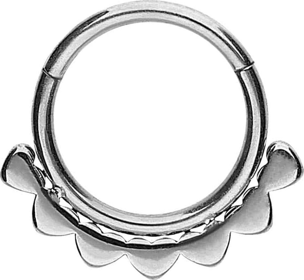 Ohrpiercing, Nasenpiercing, Septum Piercing Chirurgenstahl Segmentring Clicker HERZEN