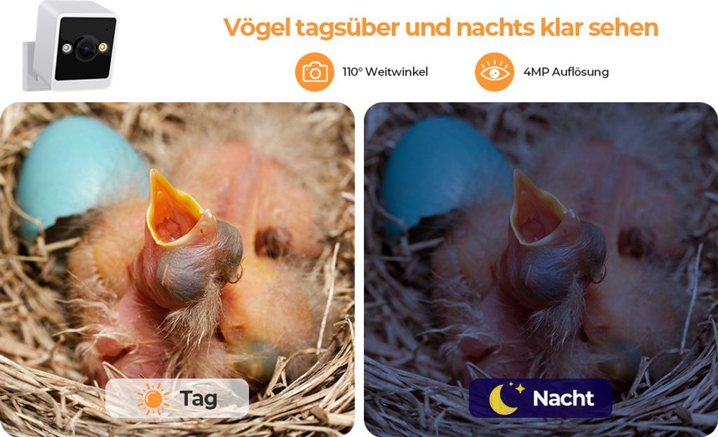 RAINBEAN Bird House mit Camera, 4 Millionen Pixel Produktbild 2