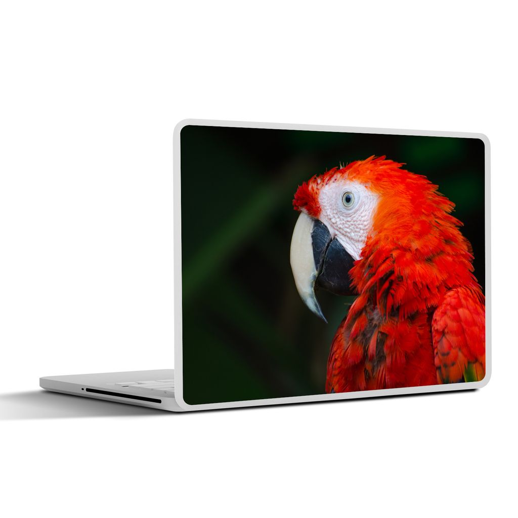 MuchoWow Laptop Aufkleber Sticker Cover Tiere - Vogel - Papagei 36.5x27.5 cm - Laptop-Sticker