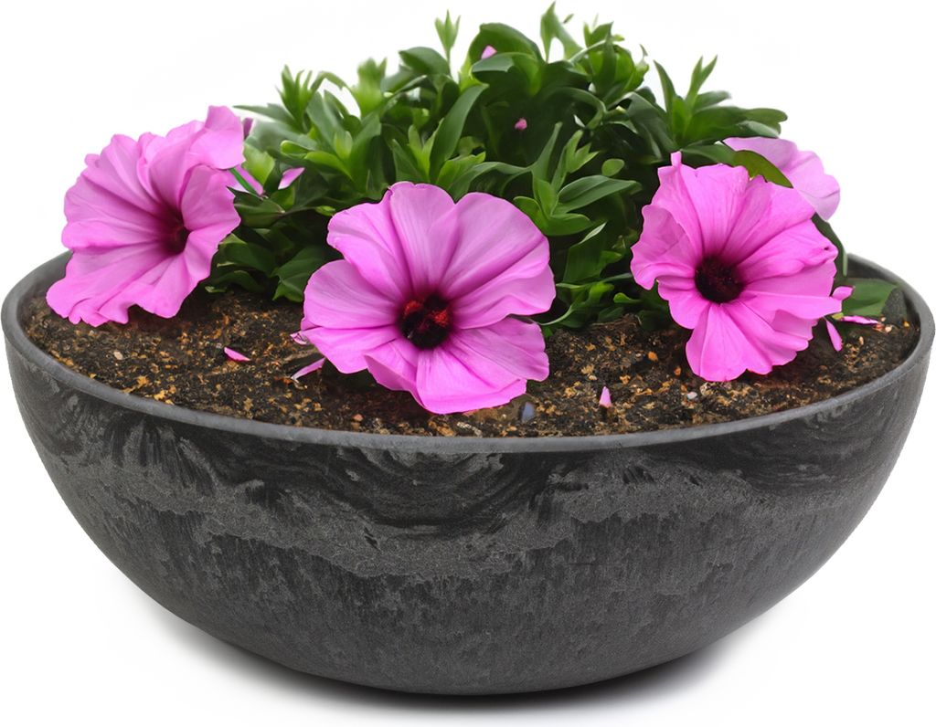Runde bauchige 20 cm Pflanzschale für draussen, schwarz Produktbild 