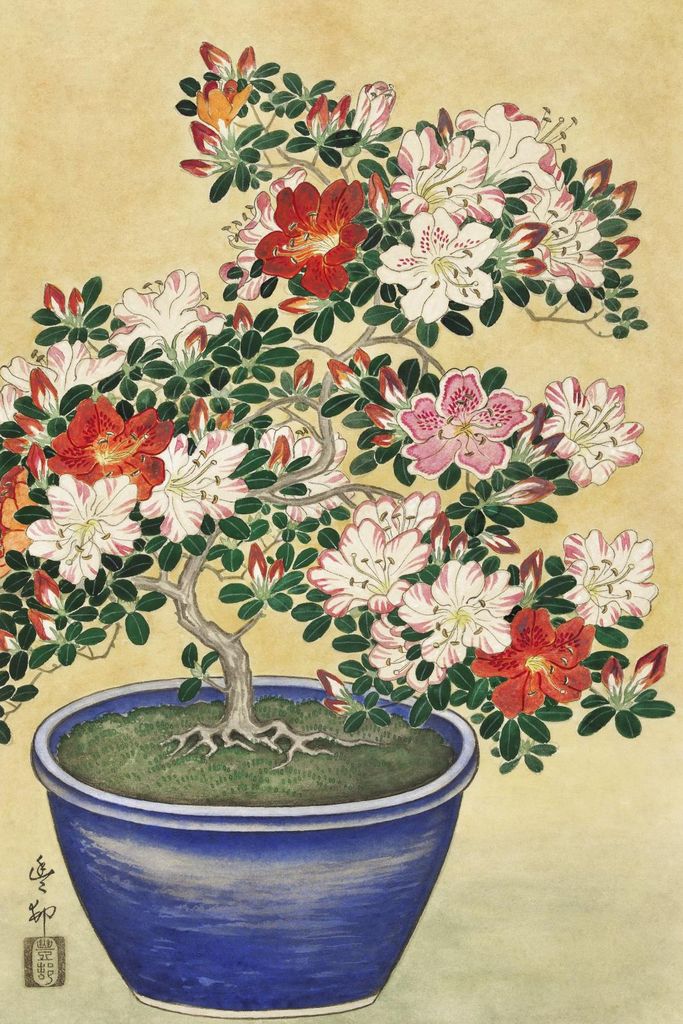 Plakat 30x45cm Blühende Azalee, Japanische Koson Vintage für das Wohnzimmer